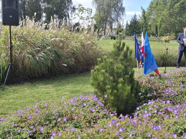 Oświęcim. W parku na Zasolu rośnie drzewo poświęcone Sarajewu. Kolejny symbol siły, nadziei i przetrwania