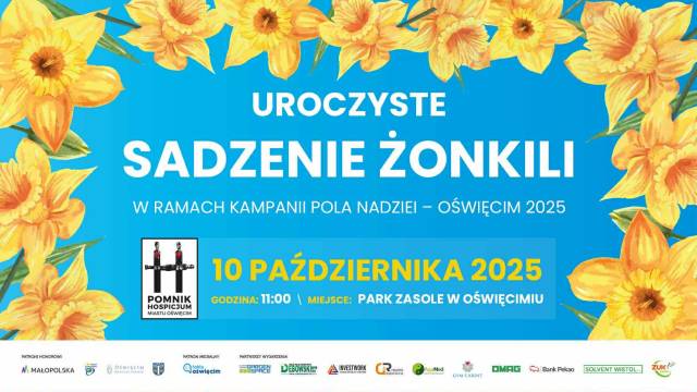 Jesienne Sadzenie Żonkili na Ziemi Oświęcimskiej