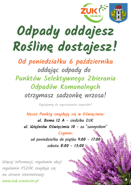 Oświęcim. Odpady oddajesz, wrzosy dostajesz! Akcja ZUK promująca Punkty Selektywnego Zbierania Odpadów Komunalnych