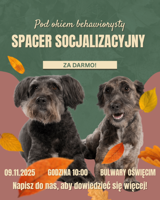 Spacer Socjalizacyjny pod okiem Behawiorysty