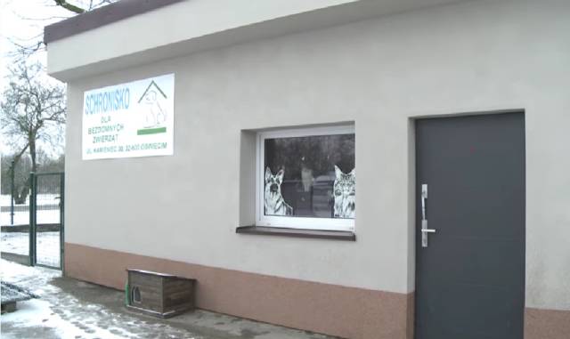 Oświęcim.  Fakty zamiast sensacji. Kontrola potwierdza: w schronisku zwierzęta są bezpieczne