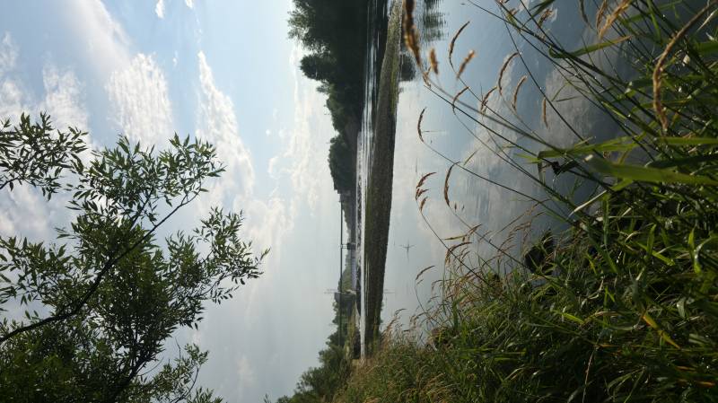 Spływ kajakowy - Dzikie Starorzecze Wisły