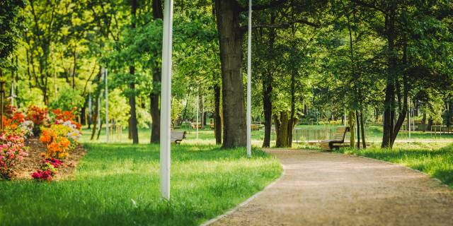 Park Pokoju