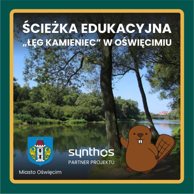 Ścieżka „Łęg Kamieniec” i jej przyrodnicze tropy